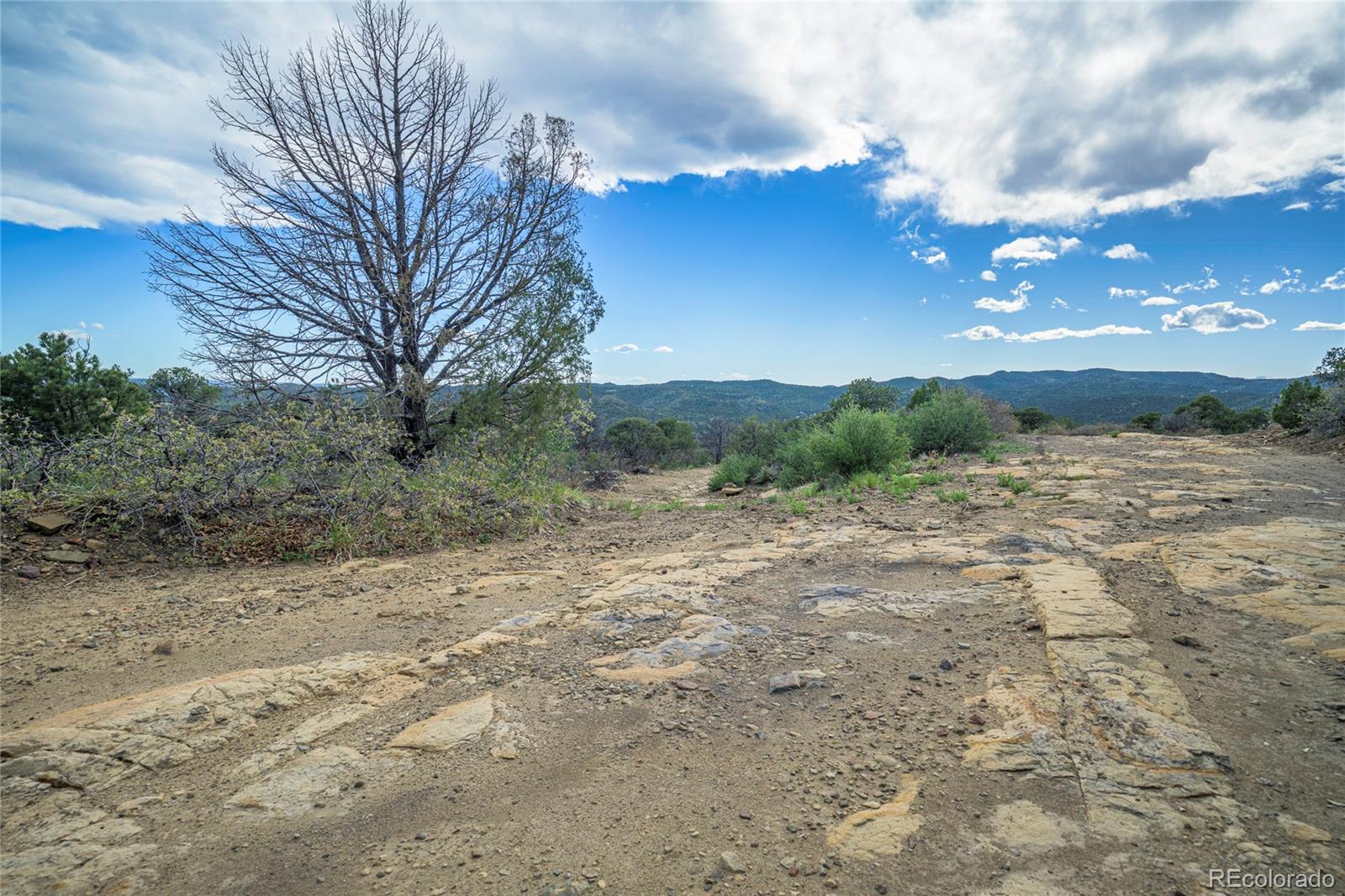 15621 Rancho Verde Road Trinidad, CO 81082 - Photo 29 of 45 Gallery Image 29