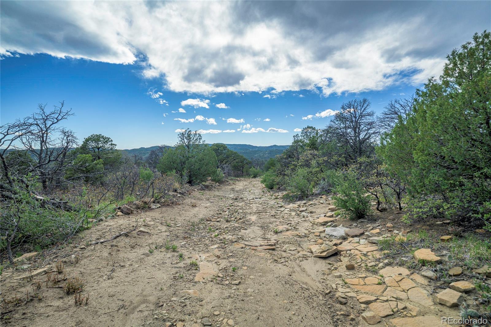 15621 Rancho Verde Road Trinidad, CO 81082 - Photo 30 of 45 Gallery Image 30
