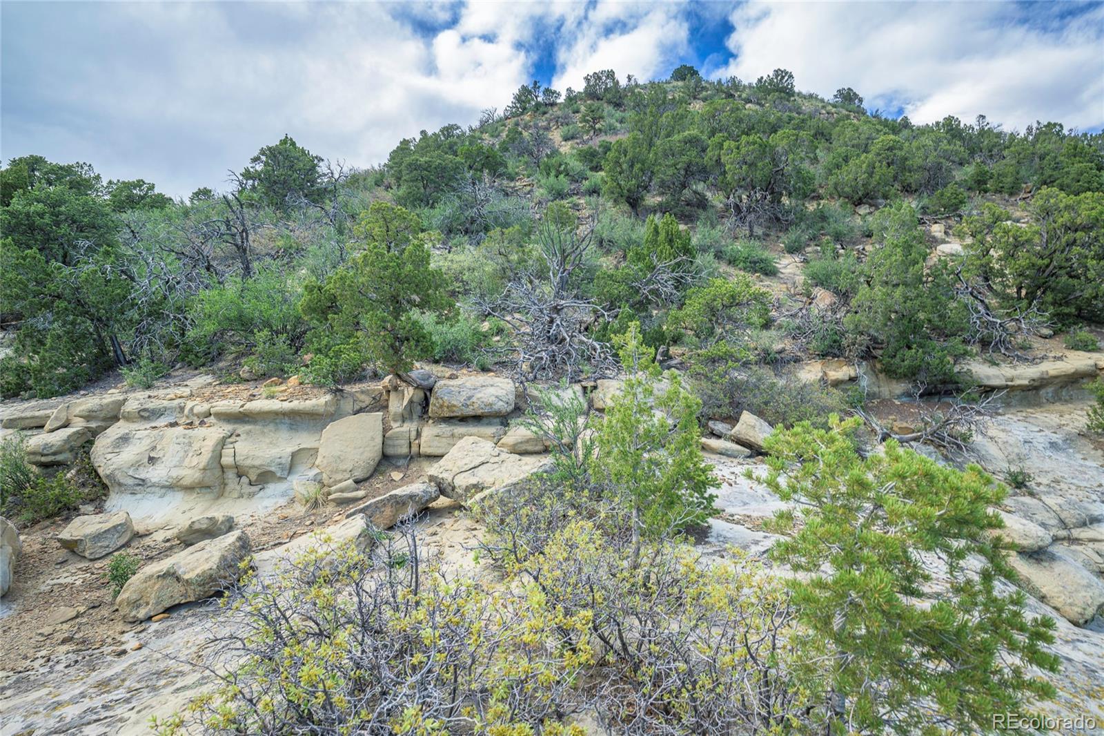 15621 Rancho Verde Road Trinidad, CO 81082 - Photo 7 of 45 Gallery Image 7
