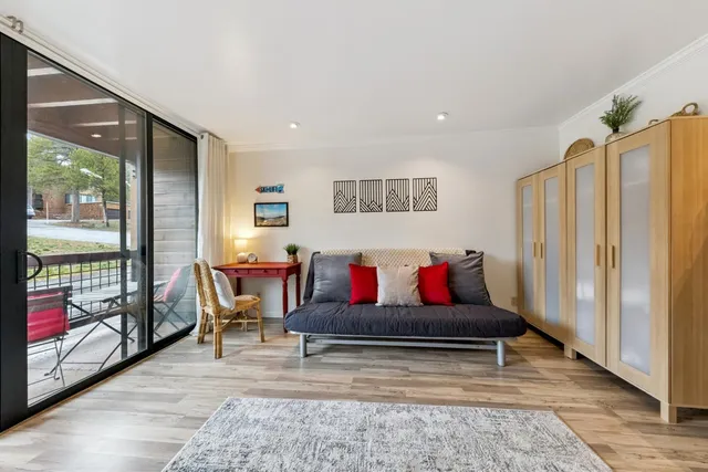 a living room with furniture and a rug