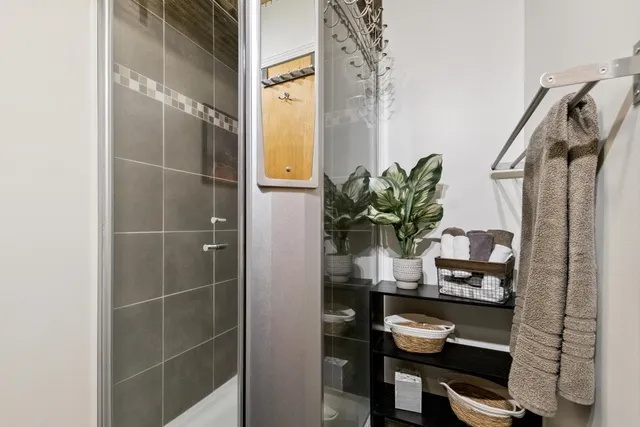 a close view of dining table with potted plant