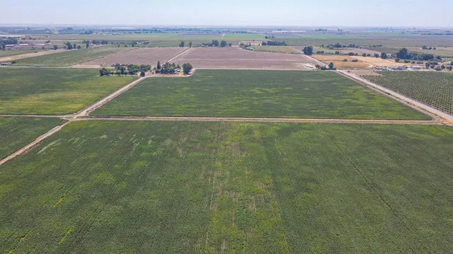 a view of a terrace with yard