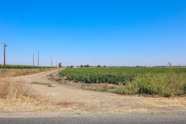 a view of a field with an ocean view