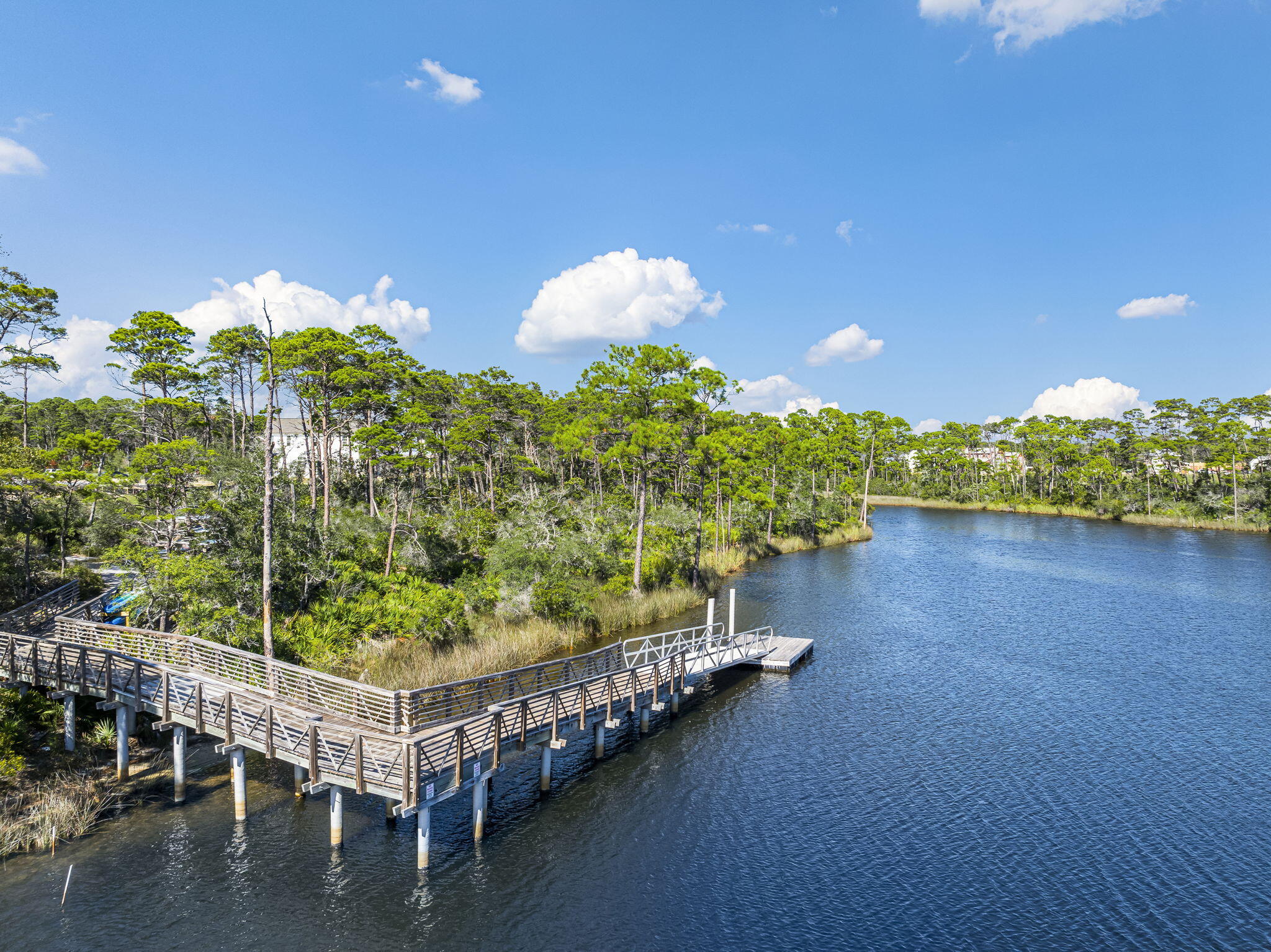 320 Naturewalk Blvd Inlet Beach Inlet Beach, FL 32461 - Photo 43 of 45 Fishing Delight