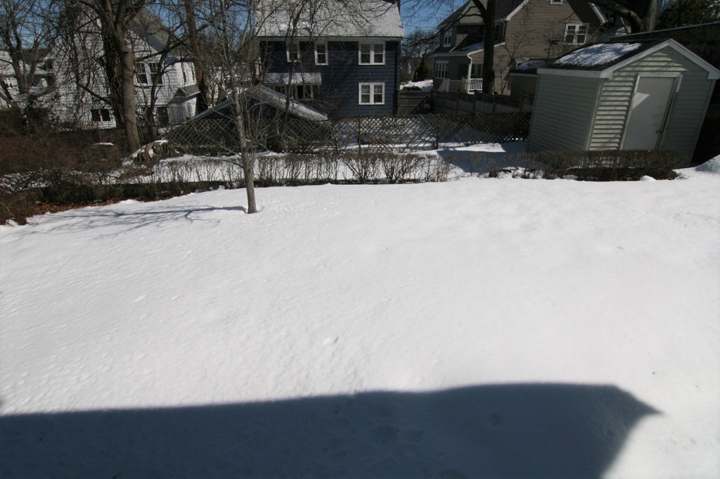 24 Bonad Road Arlington, MA 02476 - Photo 15 of 17 Gallery Image 15