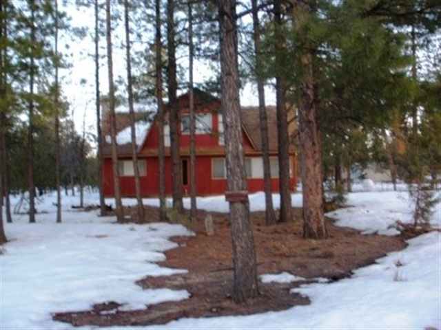 2727 High Ridge Road Overgaard, AZ 85933 - Photo 1 of 5 a view of a yard with a tree