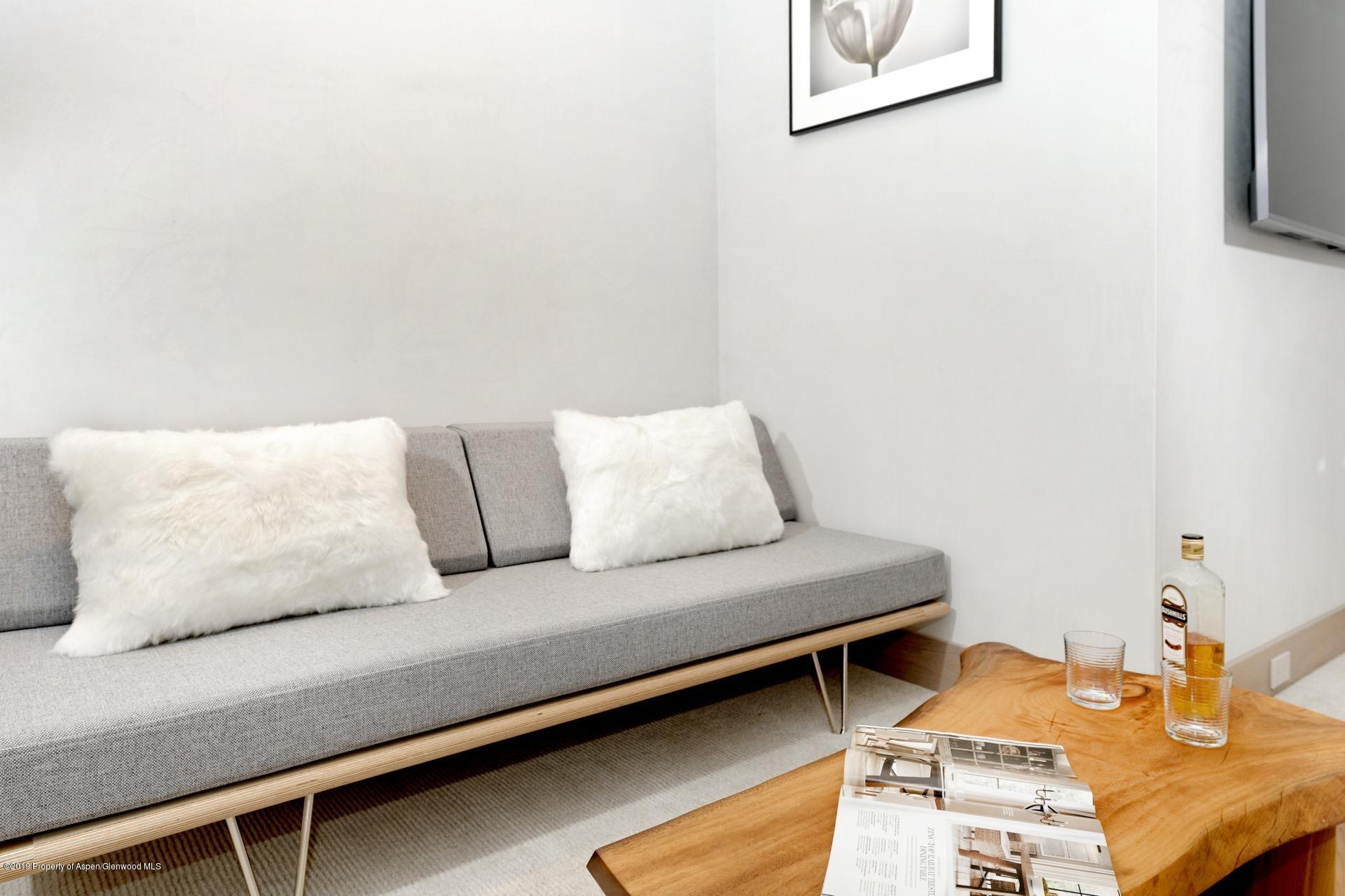 217 South 3rd Street Aspen, CO 81611 - Photo 19 of 32 a living room with furniture and a couch