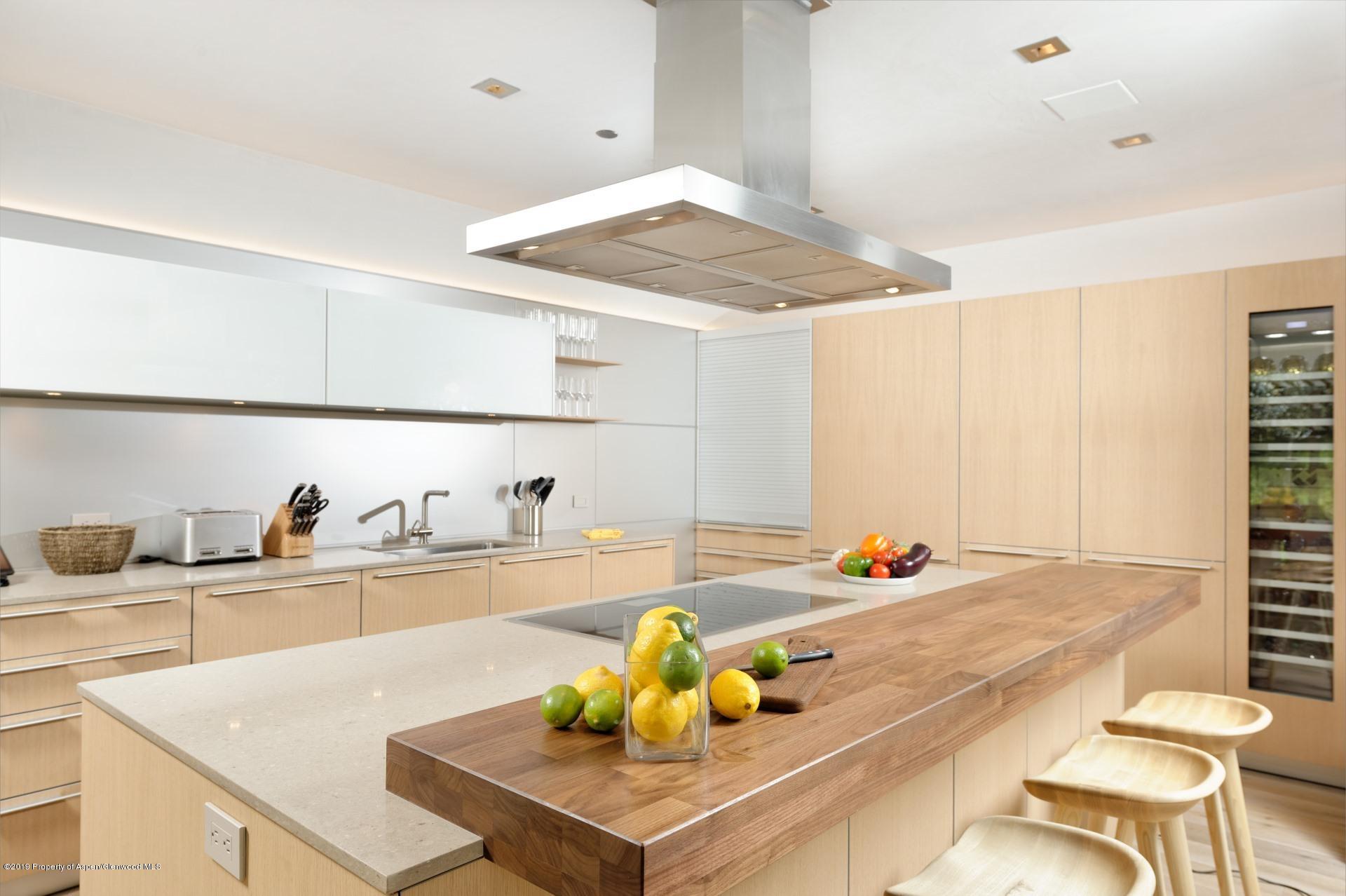 217 South 3rd Street Aspen, CO 81611 - Photo 8 of 32