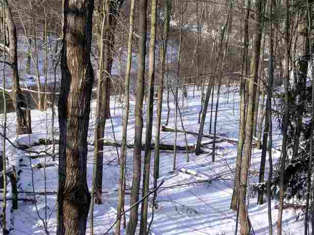 Tbd Burns Line Road Croswell, MI 48422 - Photo 10 of 11 31062948-9.JPG