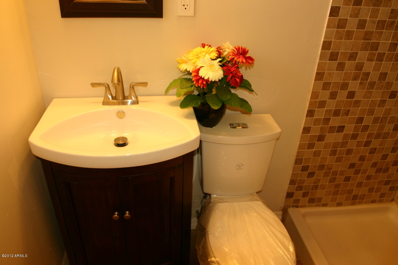 3514 East Coronado Road Phoenix, AZ 85008 - Photo 7 of 20 master bath