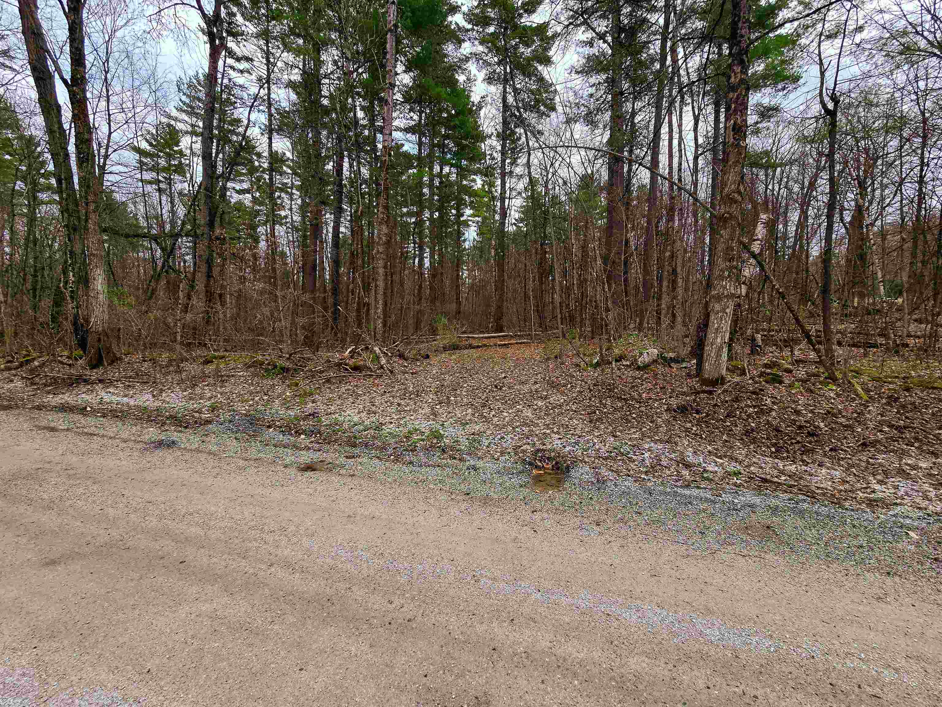 765 Camp Road Hubbardton, VT 05733 - Photo 17 of 38 Gallery Image 17