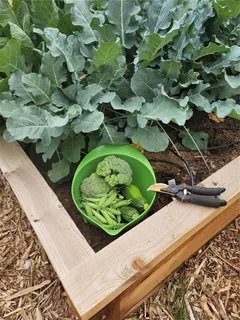 a view of yard with flowers and trees