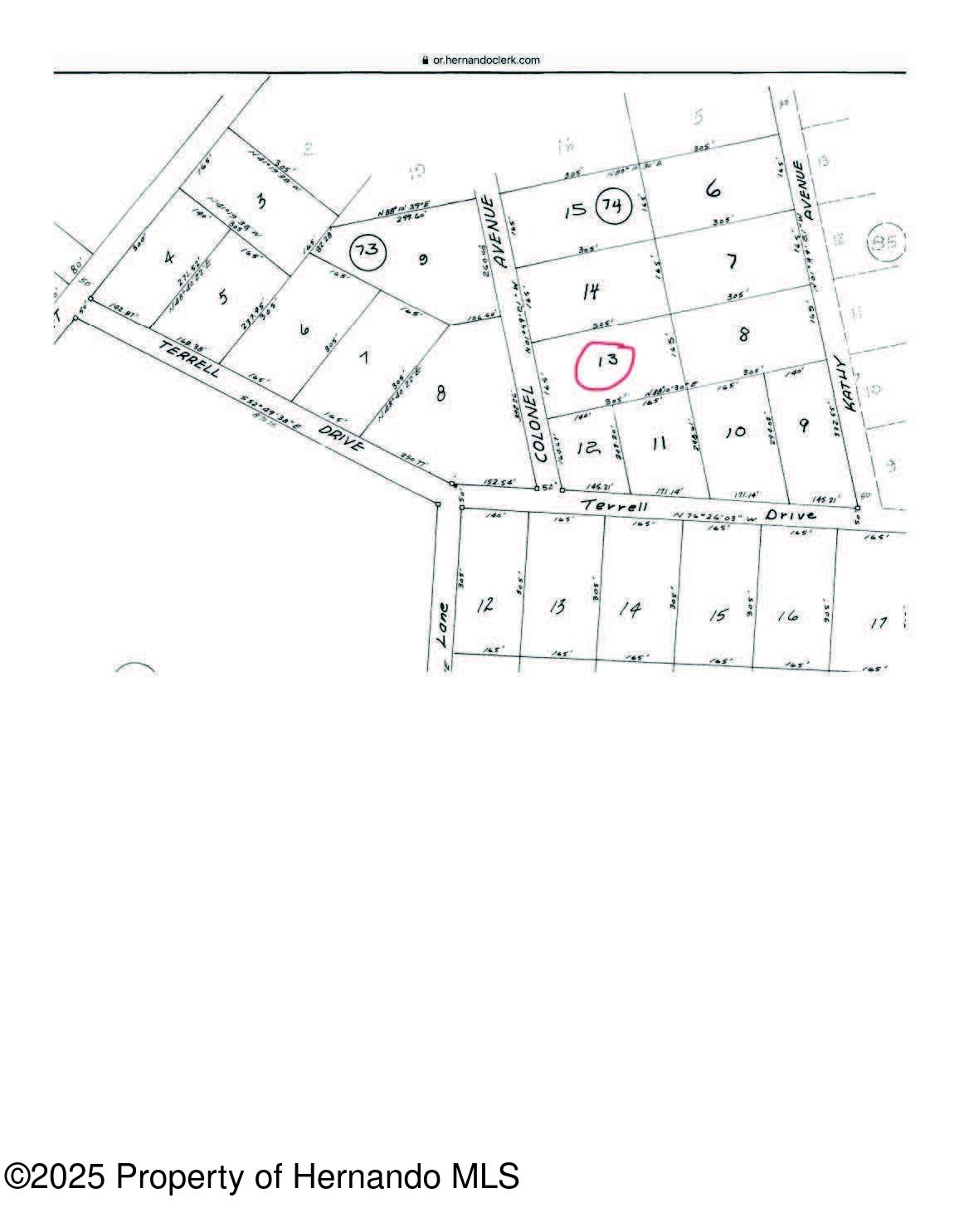 Lot 13 Colonel Avenue Webster, FL 33597 - Photo 7 of 8