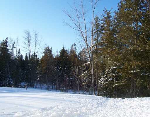 103 Skyline Road Bangor, ME 04401 - Photo 25 of 25 Yard/Garden. The back yard is a...