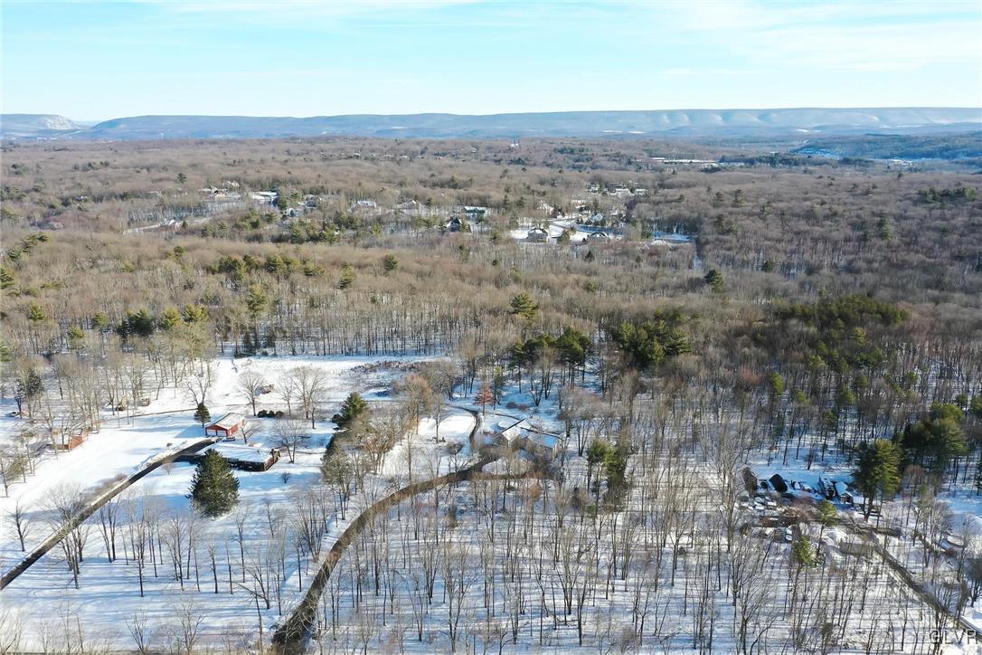 232 Cherry Lane Road Bartonsville, PA 18321 - Photo 40 of 50 Aerial View