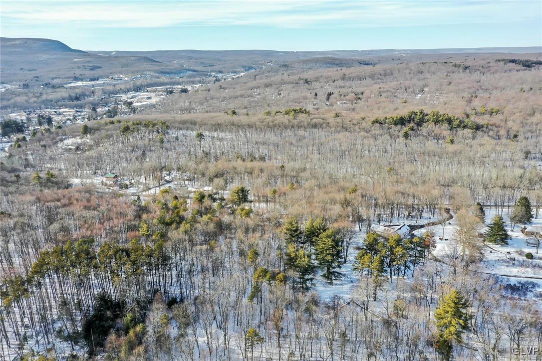 232 Cherry Lane Road Bartonsville, PA 18321 - Photo 44 of 50 Aerial View