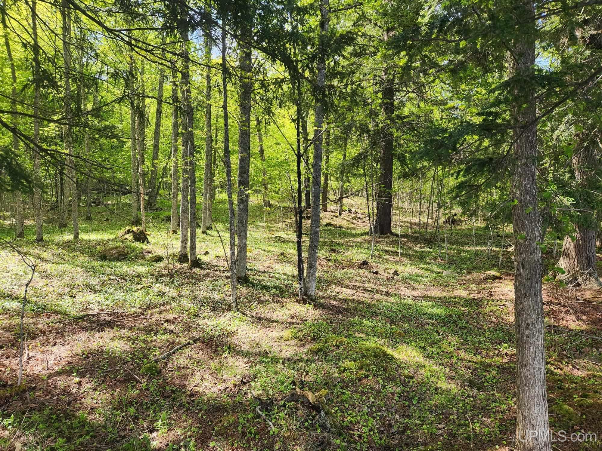 Lot 18 University Road Iron River, MI 49935 - Photo 27 of 36 Gallery Image 27