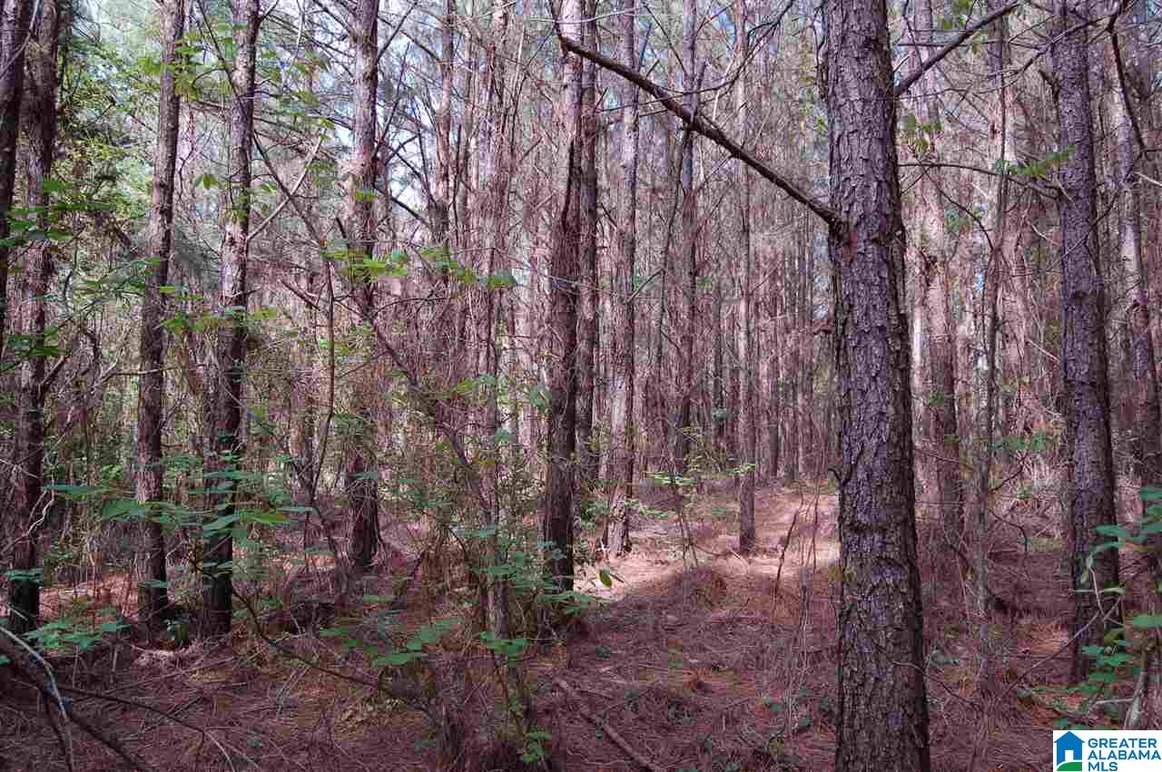 C C Road, Unit 40 00 Vinemont, AL 35179 - Photo 10 of 12