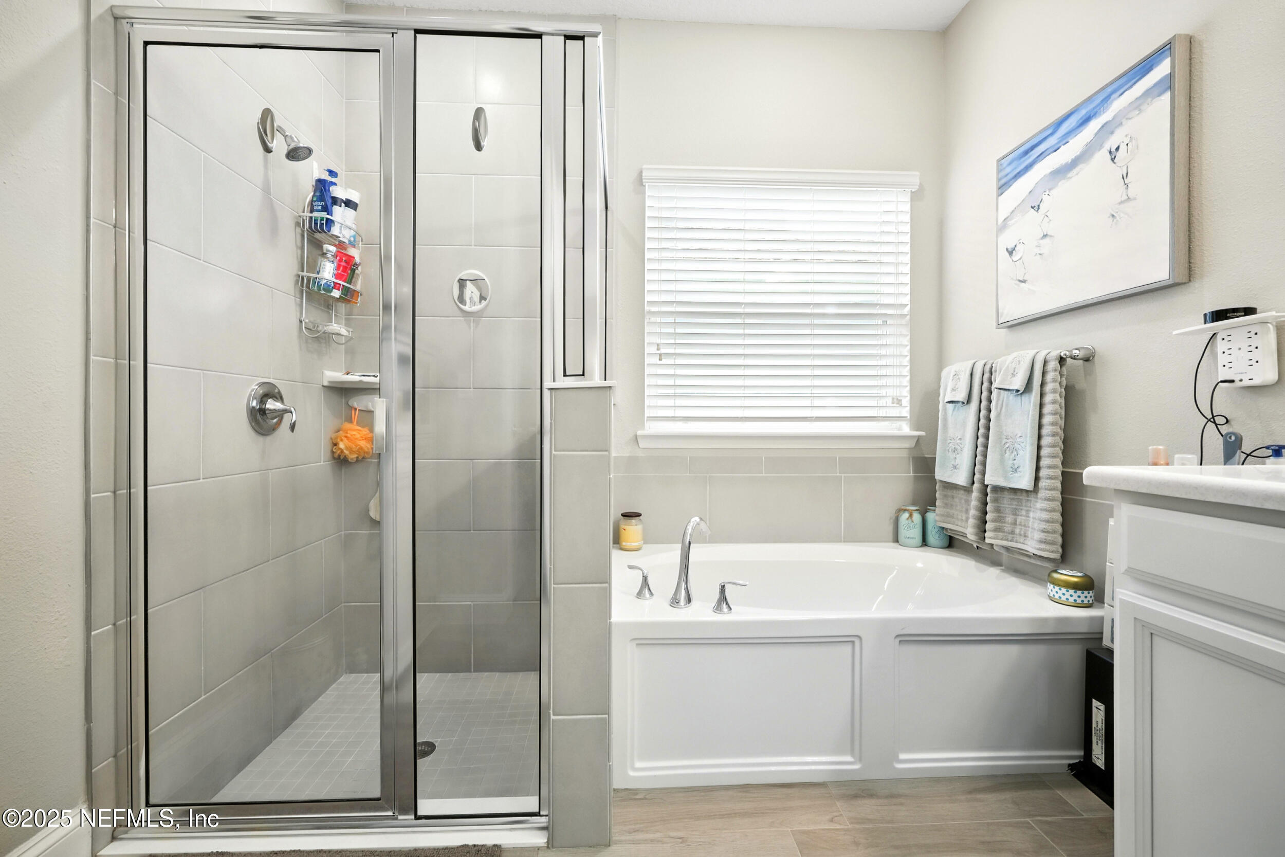 2399 Reese Way Jacksonville, FL 32246 - Photo 18 of 46 Primary Bathroom