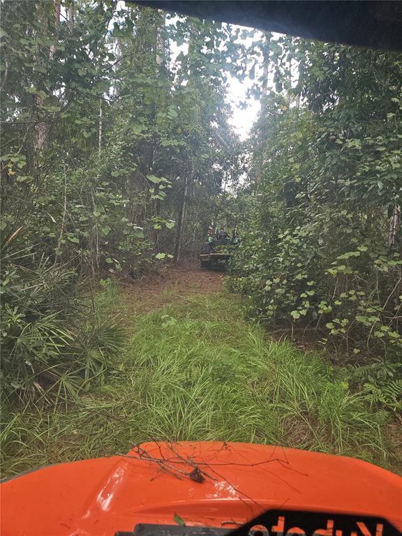 1255 Black Bear Ranch Trail Pierson, FL 32180 - Photo 2 of 13 a view of a yard