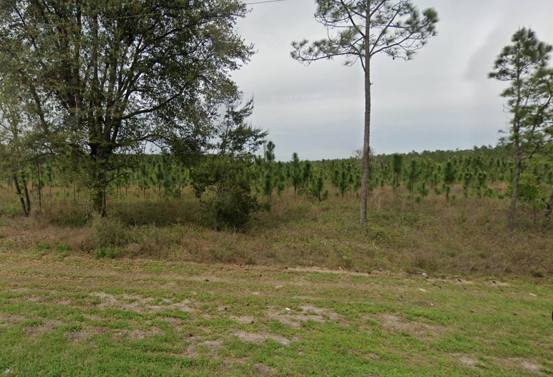 90 Northeast Lee Lee, FL 32059 - Photo 2 of 8