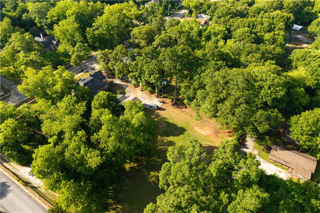346 North Cherokee Road Social Circle, GA 30025 - Photo 69 of 71 a view of a tree
