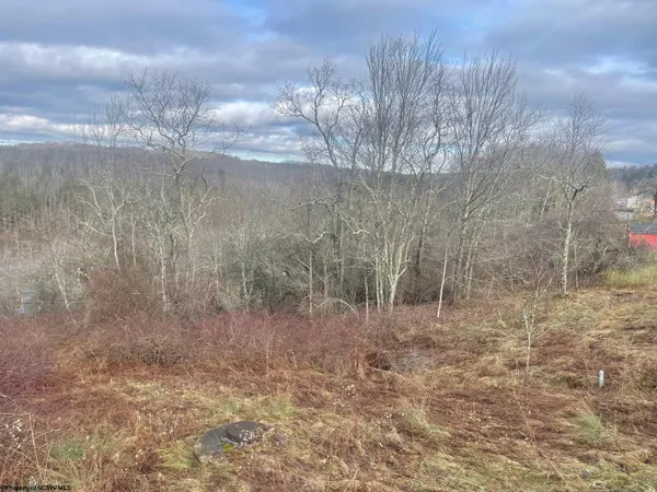 $47,500 | Tbd Bunker Hill Road, Thomas, WV 26292