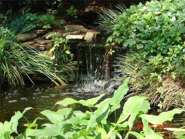 2113 Jordan Cabin Road Wendell, NC 27591 - Photo 6 of 20 Serene water garden in back yard