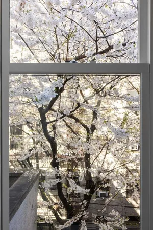 $9,975,000 | 527 3rd Street | Park Slope