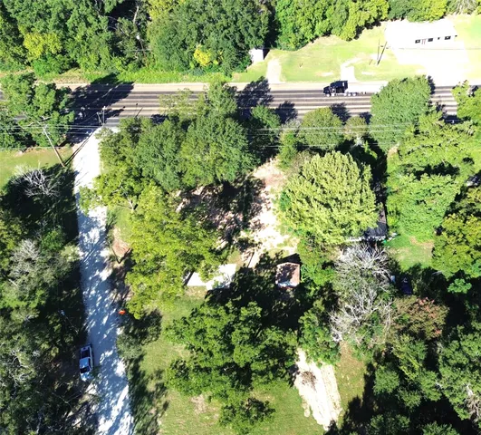 a view of a garden with plants