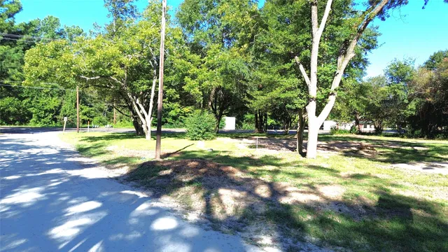 a view of yard with tree
