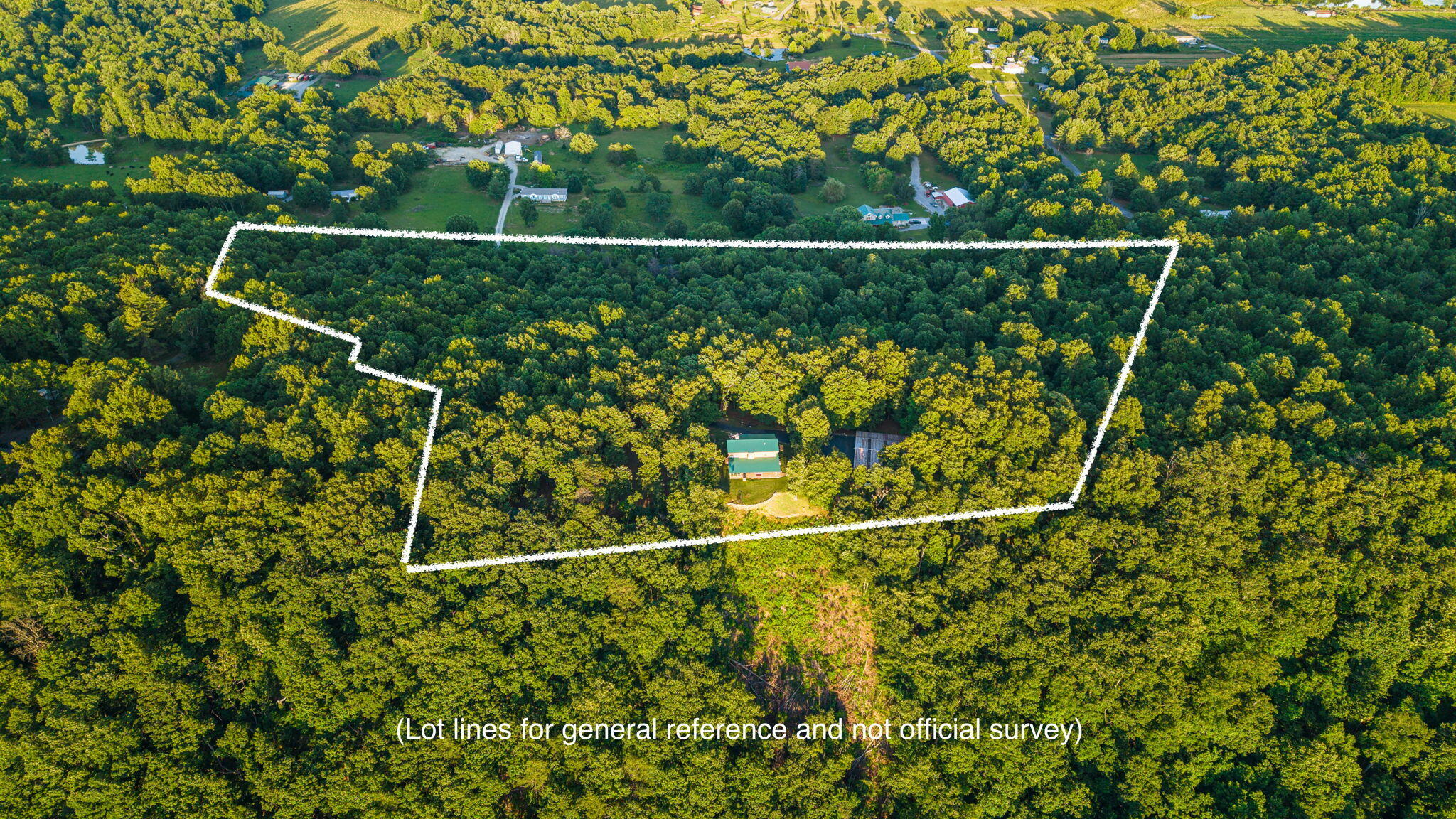 863 Porch Rock Road Pikeville, TN 37367 - Photo 42 of 62 33-web-or-mls-863 Porch Rock Rd Lot Line