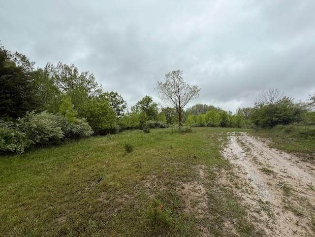 Tbd Prospect St. Louis, MI 48880 - Photo 14 of 23