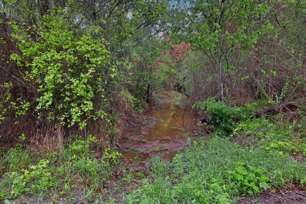 986 Shiloh Road Bastrop, TX 78602 - Photo 36 of 38