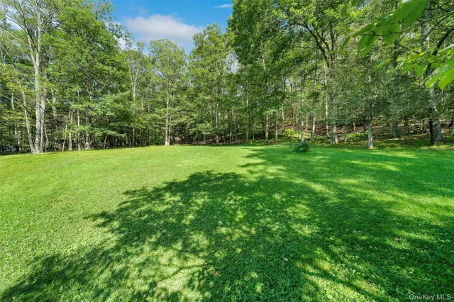 a view of a grassy field with trees in the background