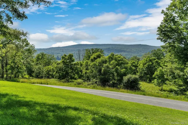 a view of a yard with an trees