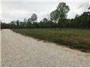 0 Ridge Center Point Center Point, LA 71323 - Photo 2 of 2 lot F 3