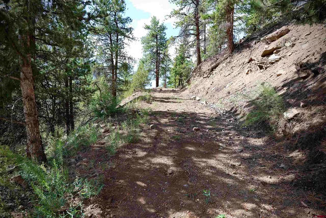 a view of outdoor space and trees