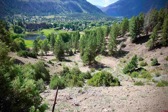 a view of a bunch of trees and bushes