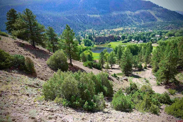 a view of a lush green forest with a building in the background