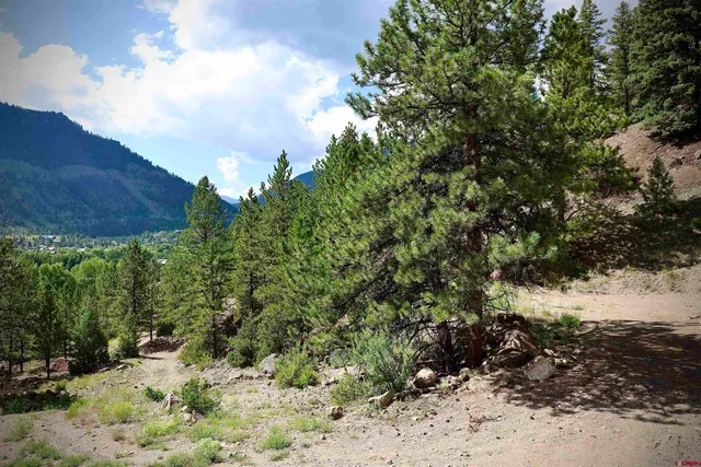 a view of a yard with a tree