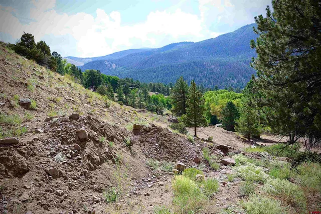 a view of a dry yard with mountains in the background
