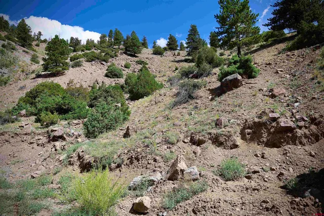 a view of a road with a yard