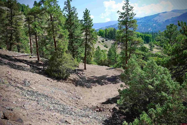 a view of a backyard of a house