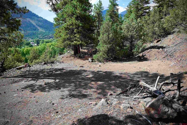 a view of a dirt road with trees