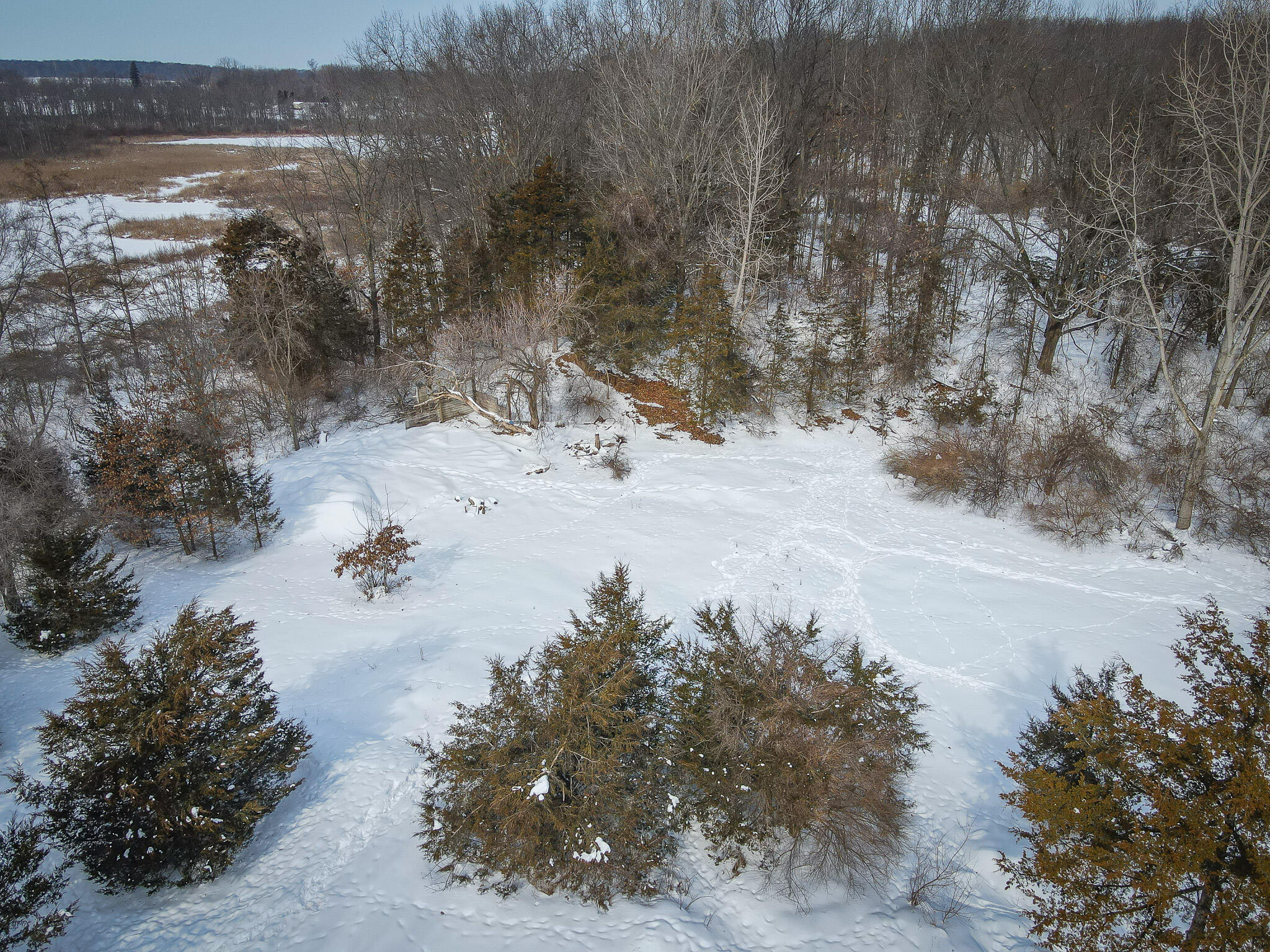 5100 Long Lake Road Reading, MI 49274 - Photo 20 of 83 DJI_0324