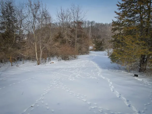 $529,000 | 5100 Long Lake Road, Reading, MI 49274