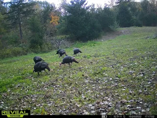 $529,000 | 5100 Long Lake Road, Reading, MI 49274