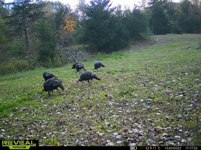 5100 Long Lake Road Reading, MI 49274 - Photo 3 of 83 4C656353-DB36-4C3F-B164-C31406B1B3B5