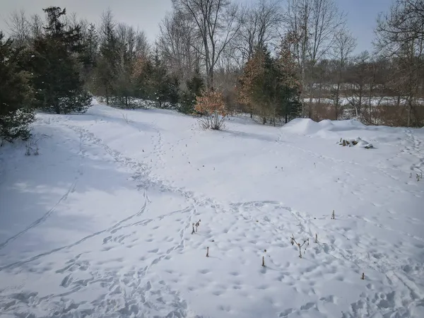 $529,000 | 5100 Long Lake Road, Reading, MI 49274